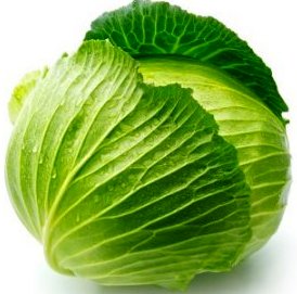 cabbage_on_white_background_s