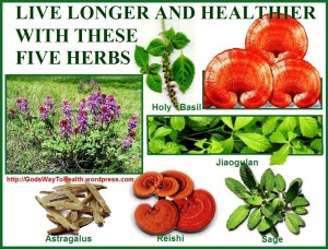 herbs CLWS