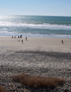 San Jacinto Web 12