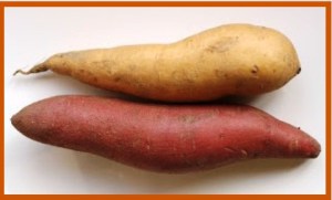 yam_sweetpotato