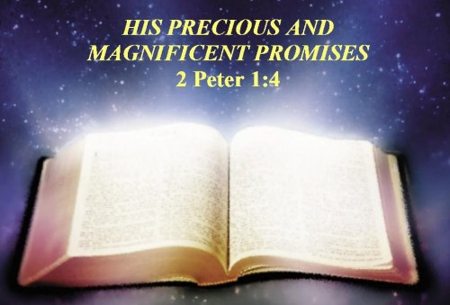 Magnificent Promisses