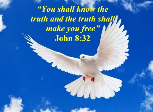 John 8 vs 32