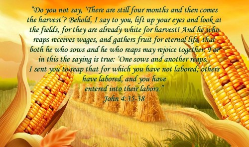 Harvest