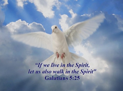 Galatians 5 vs 25