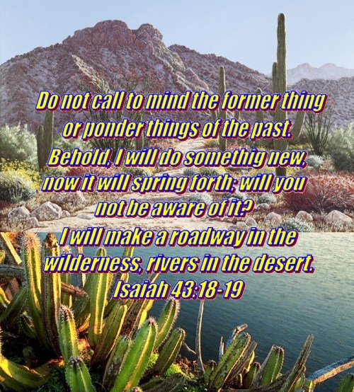Isaiah 43 vs 18-19