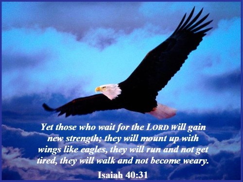 ISAIAH 40 VS 31