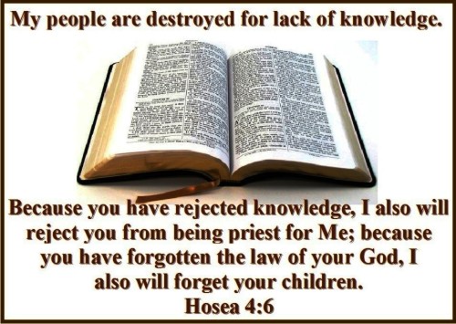 Hosea 4 vs 6