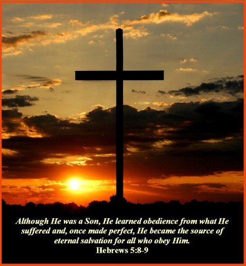 Hebrews 5 vs 8-9