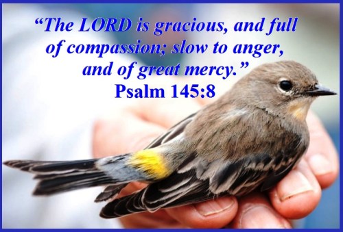 Psalm 145 vs 8 E