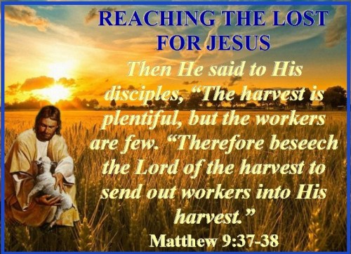 Matthew 9 vs 37-38