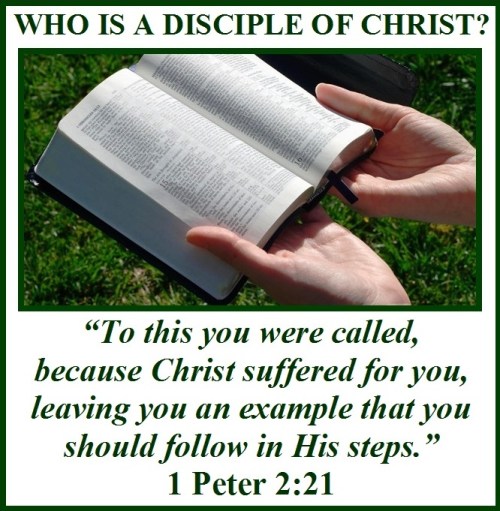 Who is a disciple of Christ