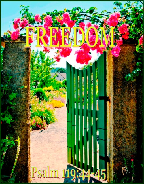 FREEDOM