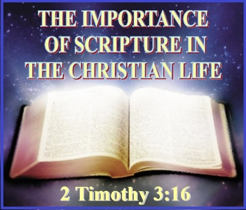 2 Timothy 3 vs 16