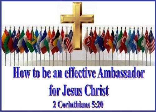 Ambassador e