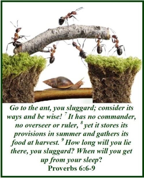 Proverbs 5 vs 6-9