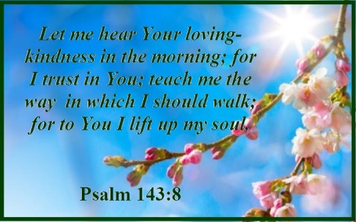 Psalm 143 vs 8