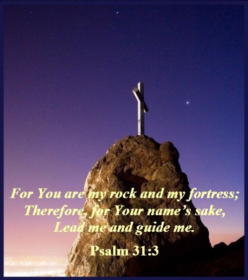 Psalm 31 vs 3