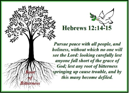 Hebrews 12 vs 14-15 The root of bitterness