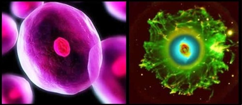 comparison-between-a-cell-and-a-nebula-in-the-universe