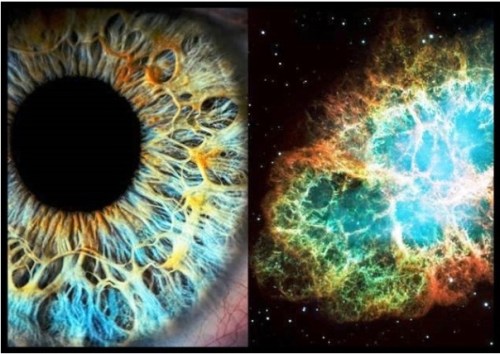 eye-vs-nebula