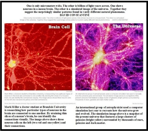 neuro-galaxy-in-english