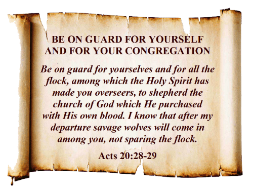 Acts 20 vs 28-29