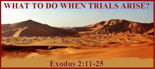 Exodus 2 vs 11-25