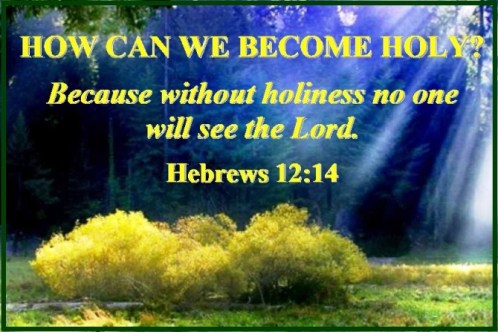 Hebrews 12 vs 14