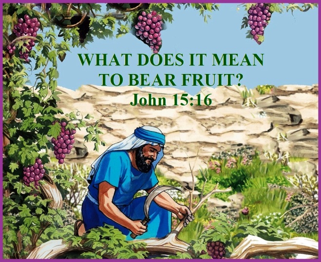 John 15 vs 16