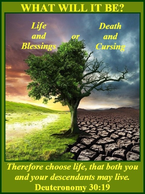 Life and Death Deuteronomy 30 vs 19