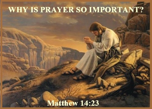 Matthew 14 vs 23