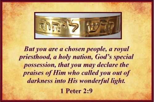 1 Peter 2 vs 9