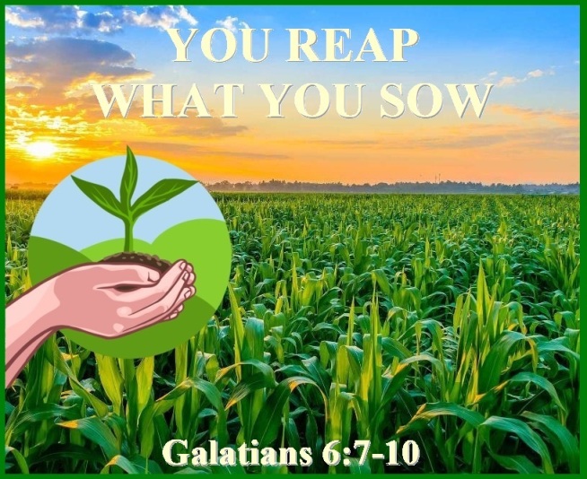 Galatians 6 vs 7-10