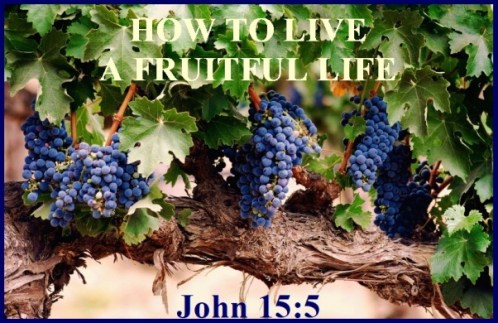 John 15 vs 5