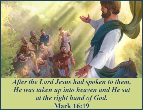 Mark 16 vs 19