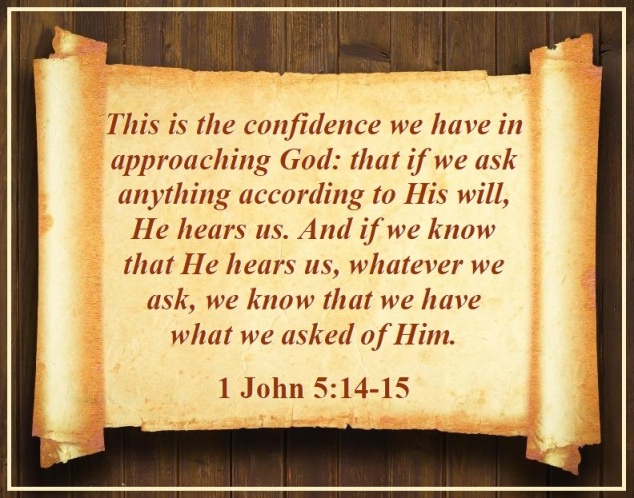 1 John 5 vs 14-15