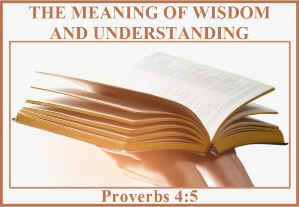 Proverbs 4 vs 7 (Nov-24)