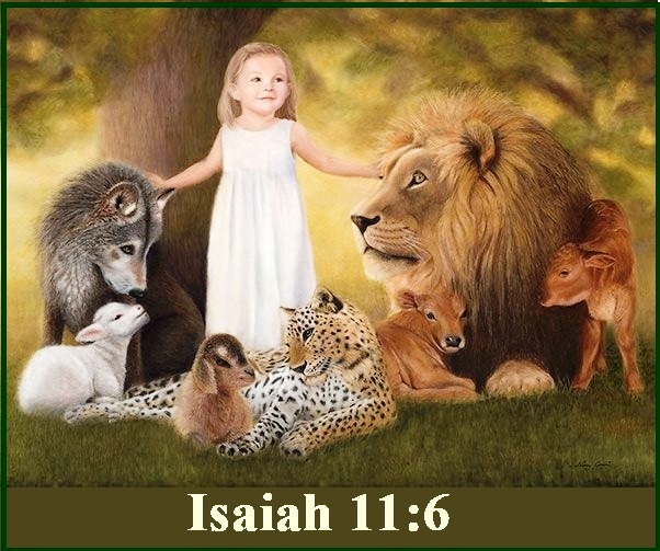 Isaiah 9 vs 6
